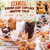 set-50-khuon-giay-cupcake-muffin-tulip - ảnh nhỏ  1