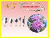 set-5-kim-rau-cau-hoa-mau-don-2 - ảnh nhỏ  1