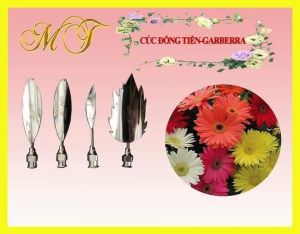 SET 4 KIM RAU CÂU HOA CÚC ĐỒNG TIẾN