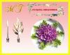 set-2-kim-rau-cau-hoa-cuc-dai-doa - ảnh nhỏ  1