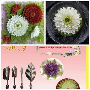 SET 4 KIM RAU CÂU HOA THƯỢC DƯỢC 1