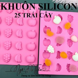 Khuôn silicon 25 trái cây