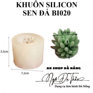 KHUÔN SILICON SEN ĐÁ BI020