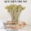 set-100-que-xien-tre-decor-no-tre - ảnh nhỏ  1