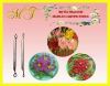 bo-tia-canh-rau-cau - ảnh nhỏ  1