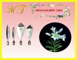 SET 4 KIM RAU CÂU HOA LOA KÈN