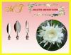 set-3-kim-rau-cau-hoa-quynh - ảnh nhỏ  1
