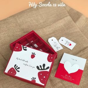 HỘP SOCOLA 12 VIÊN (DÂU)