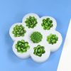 khuon-silicon-7-sen-da-nhi - ảnh nhỏ 5