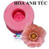 khuon-silicon-hoa-anh-tuc - ảnh nhỏ 2