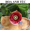 khuon-silicon-hoa-anh-tuc - ảnh nhỏ 4