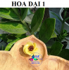 khuon-silicon-hoa-dai-1 - ảnh nhỏ 2