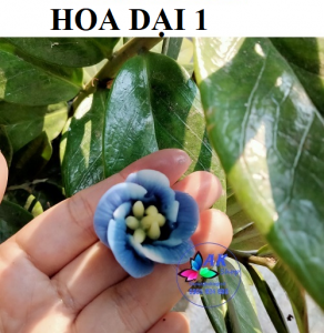 KHUÔN SILICON HOA DẠI 1