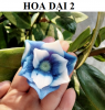 khuon-silicon-hoa-dai-2 - ảnh nhỏ 3
