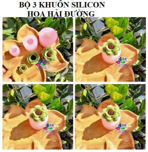 BỘ 3 KHUÔN SILICON HOA HẢI ĐƯỜNG