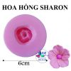 khuon-silicon-hoa-hong-sharon - ảnh nhỏ 3
