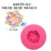 khuon-silicon-thuoc-duoc-mexico - ảnh nhỏ 2