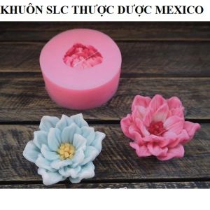 KHUÔN SILICON THƯỢC DƯỢC MEXICO