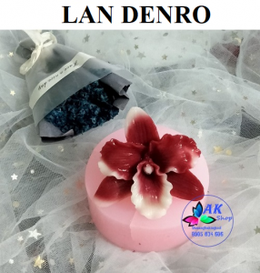 KHUÔN SILICON LAN DENRO