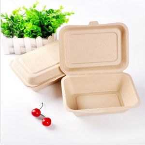 SET 50 HỘP XỐP BẢ MÍA CN