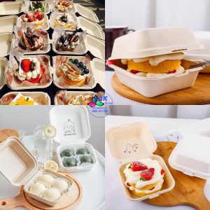 SET 10 HỘP XỐP BẢ MÍA BENTO
