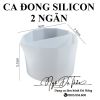 ca-silicon-nhieu-ngan - ảnh nhỏ 6