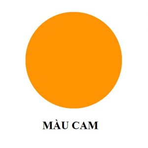BỘT GIẤY NHẬT BẢN 100GR (CAM)