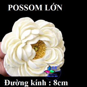 KHUÔN SILICON HOA BOSSOM LỚN
