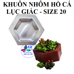 KHAY NHÔM GIA CÔNG HỒ CÁ LỤC GIÁC