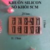 khuon-silicon-10-so-khoi-cao-4-6cm - ảnh nhỏ 3