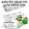khuon-silicon-mousse-6-cay-thong-lom-giang-sinh - ảnh nhỏ  1