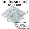 khuon-silicon-tho-gau-su-tu - ảnh nhỏ 7