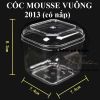 coc-nhua-mica-cung-vuong-gd2013-nap - ảnh nhỏ 11
