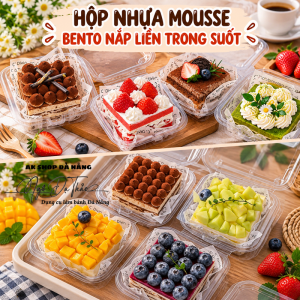 Hộp nhựa dẻo vuông nắp liền CH205