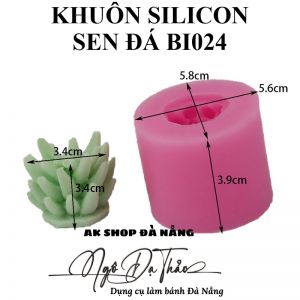 KHUÔN SILICON SEN ĐÁ BI024