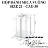 hop-mica-dung-banh-vuong-size-21-cao-30 - ảnh nhỏ  1