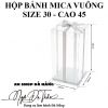 hop-mica-dung-banh-vuong-size-30-cao-45 - ảnh nhỏ  1