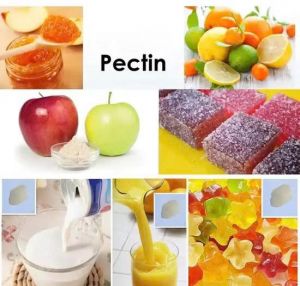 Bột pectin  Đức 50gr
