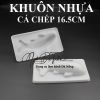 khuon-nhua-ca-chep-cac-loai - ảnh nhỏ 2