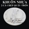 khuon-nhua-ca-chep-cac-loai - ảnh nhỏ 3