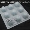 khuon-nhua-qua-dao-cac-loai - ảnh nhỏ 3