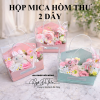 hop-mica-hom-thu-2-day - ảnh nhỏ  1