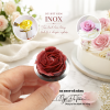 du-bat-kem-inox - ảnh nhỏ 3
