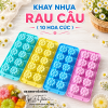 khay-nhua-rau-cau-10-hoa-cuc - ảnh nhỏ 2