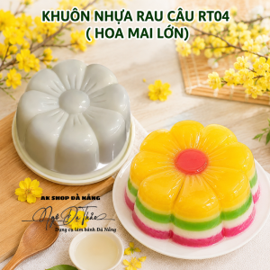 Khuôn nhựa rau cau 9cm - RT04 HOA MAI ĐẠI