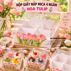 Hộp giấy + nắp mica 4 ô HOA TULIP
